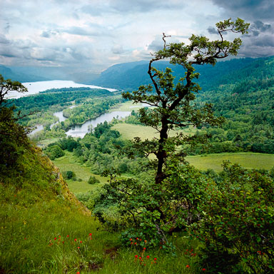 Columbia River Gorge