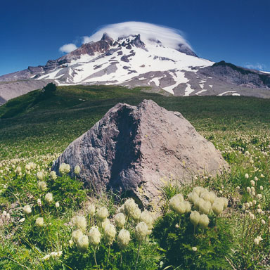 Mount Hood