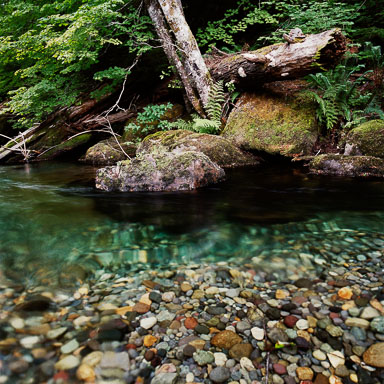 Waters